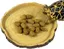Gamelle pour reptiles, bol d'eau et de nourriture pour geckos et tortues, accessoires terraristiques.
