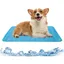 Tapis rafraîchissant pour chats et chiens : 70 x 55 cm - Résistant - Lavable