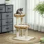 Arbre à chat design 755 cm avec Griffoir deux lits pour chat en rotin et coussins lavables Beige