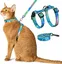 Harnais et laisse pour chat - Harnais réglable anti-fugue pour chat, confortable, doux et léger, utilisation sûre et facile, har
