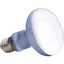 Uva + uvb Reptile Lampe Ampoule Tortue Basting Uv Ampoules Lampe Chauffante Amphibiens Lézards Contrôleur De Température - 100W