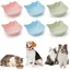 Ensemble de gamelles pour chat 6 pièces gamelles antidérapantes pour nourriture et eau pour chaton faciles à nettoyer