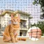 Filet Chat 7.5x15m Filet Protection ChatGrand Filet Anti Oiseaux Protection Fenetre sans Percer pour Balcons Te FILET DE PROTECTION