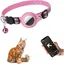 Collier GPS pour chat avec traceur anti-perte intégré compatible avec les boîtiers AirTag et doté dun  positionnement global-Rose
