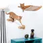 YIYI. ARBRE À CHAT MULTIFONCTIONNEL GRIMPANT - LIT MURAL POUR CHAT -  BLANC - 54 X 465 CM.