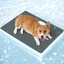 Tapis Rafraichissant Chien et Chats Tapis Refrigerant Gel Non Toxique Matelas Refroidissement Chien Coussin Froid ChatGris M 65x50cm