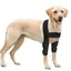 Coussinets de protection pour coudières pour chien – Support respirant pour hygroma du coude dysplasie arthrose callo KIT MATERNAGE