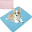 Tapis Rafraîchissant pour Chien & Chat – Sans Eau 50x40 cm – Bleu/Rose