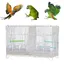 SUPFINE Cage à Oiseaux de 60cm avec Plateau de Support pour Perroquets Conures Inséparables Calopsittes Perruches 60×26×395cm