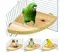 Perchoir en bois pour oiseaux, plateforme pour perroquets, aire de jeux, accessoires pour petits animaux, rats, hamsters,