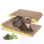Nobleza - 2 Pièces Grattoir Chat Carton Griffoir Incurvé Réversible en Carton 40 x 25cm