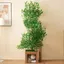 Arbre à Chat 190 cm – 4 Plateformes + Trous de Cachette MDF Étanche/Résistant aux Griffures Feuilles Amovibles