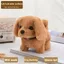 Peluche -YIBUJIAZU-Peut marcher appellera le chien simulation électrique jouet en peluche- jouets cadeaux de Noël pour enfants