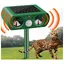 Repulsif Chat Exterieur Solaire Répulsif Chat Ultrason Repousse efficacement Les Chats Les Oiseaux Les Renards