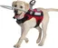 Ceinture de sécurité pour chien aveugle, collier pour chien aveugle et collier anti-collision pour animaux de compagnie M