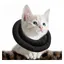 Collierette noire réglable pour chat M(30cm) collier de récupération doux de protection après chirurgie pour animaux
