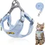 Ensemble laisse pour chat harnais réglable en polyester avec laisse harnais anti-fuite pour chatons et chiens (Bleu-S)