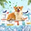 Tapis rafraîchissant pour Animaux de Compagnie Matelas rafraîchissant, Coussin rafraichissant pour chien Injection d'eau, 60x90cm