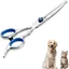 Ciseaux pour Chien Acier Inoxydable Tranchant Ciseaux Toilettage Chien Professionnel Chats Chiens et Autres Animaux de Comp CISEAUX