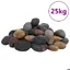 Galet poli - vidaXL - 5-8 cm - Couleur mixte - 25 kg - Naturel et décoratif