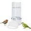 Distributeur dEau et Mangeoire Automatique pour Cage à Oiseaux - pour Oiseaux Sauvages