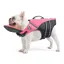 Gilet de sauvetage réfléchissant pour chien avec flotteur de cou amovible et flottabilité élevée pour la natation et la navigation