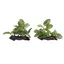 Plantes daquarium dcoratives 2 pices haute Simulation plantes damnagement paysager artificielles couleurs multiples