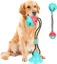 Jouets à Mâcher pour Chiens avec Ventouse Multifonctionnels pour Intérieur et Extérieur