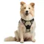Harnais Chien M Arnais Beige Anti Traction Réfléchissant Gilet Réglable pour Chien Grand Taille, Attache Devant Crochet de Laisse