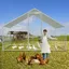Eulenke Enclos poulailler anti UV 3x2x2 m avec serrureToit étanche et résistant au soleil acier galvanisé 6m² POULAILLER