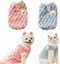 2 Pièces Petit Pull Chien Manteau Chihuahua en Peluche Chaud en Hiver Pull pour Chien Chaton KIT VETEMENT -