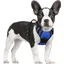 Harnais Chien Anti Traction Bleu XS Harnais Chien avec Poignée Facile à Mettre Gilet Réglable Réfléchissant pour Petit Chien