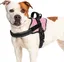 Harnais Chien Harnais Anti Traction pour Chien Réfléchissant Réglable Respirant Facile à Mettre avec Poignée Contrôle Rose L