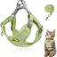 Ensemble laisse pour chat harnais réglable en polyester avec laisse harnais anti-fuite pour chatons et chiens (vert S)