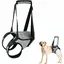 Harnais de soutien pour chien - ZVD - XL - Poignée de levage - Réglable - Tissu polyester - Confort optimal