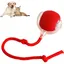 Balle Électrique Grise - Jouet Interactif Roulant pour lAgilité des Chats et Chiens de Taille Petite à Moyenne JOUET