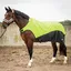 Couverture de marcheur pour cheval réfléchissante imperméable Harry's Horse 0g