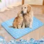 Tapis Rafraichissant Pour Chiens Et Chats Matelas Réfrigérant Animaux Portable Lavable Anti-Morsures (Bleu 100x75cm)