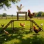 Perchoir à Poules en Bois Massif de Pin - BingoPaw - Structure à Plusieurs Niveaux avec Balançoire pour 8 à 10 Poules