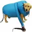 Sacs De Séchage Portables pour Chiens Salle De Sèche-Cheveux De Toilettage pour Chiots Sèche-Cheveux Silencieux À 360 ° Étiquette