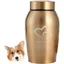 Urne souvenir Urne pour animaux de compagnie Urnes funéraires pour chiens et chats Urne commémorative en acier inoxydable Urne Gold