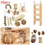 Lot de 10 jouets à mâcher pour rat cochon dInde chinchilla hamster haltères balle petits animaux jouet dexercice