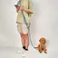 Laisse pour chien Harnais Laisse pour promenade pour chien Laisse mains libres-b