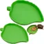 Bol eau et nourriture - 2pcs Pour tortue reptile lézard scorpion - Vert Cuneary