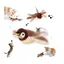 Oiseau Volant pour Chat Jouet Chat Interactif Oiseau Battant et Gazouillant Rechargeable for Chats Dintérieur (Moineau) VOLIERE