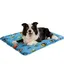 Tapis rafraichissant chien 60x90 cm motif petit poisson – À remplir deau 21-25L – Fraîcheur naturelle