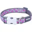 Collier pour Chien - RED DINGO - Bucklebone - Motif étoiles - Taille L - 25 mm - Rose Vif