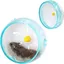 Roue de hamster roue dexercice pour hamster gerbille souris ou autres petits animaux domestiques (bleu，1Pcs)