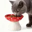 Gamelle pour chat 0.3L 13x3x15cm bol surélevé matériau en céramique facile à nettoyer incliné anti-débordement nourriture eau