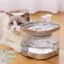 Fontaine à Eau pour Chat sans Fil avec Batterie Rechargeable, Détecteur de Mouvement, Ultra-Silencieux, 2L